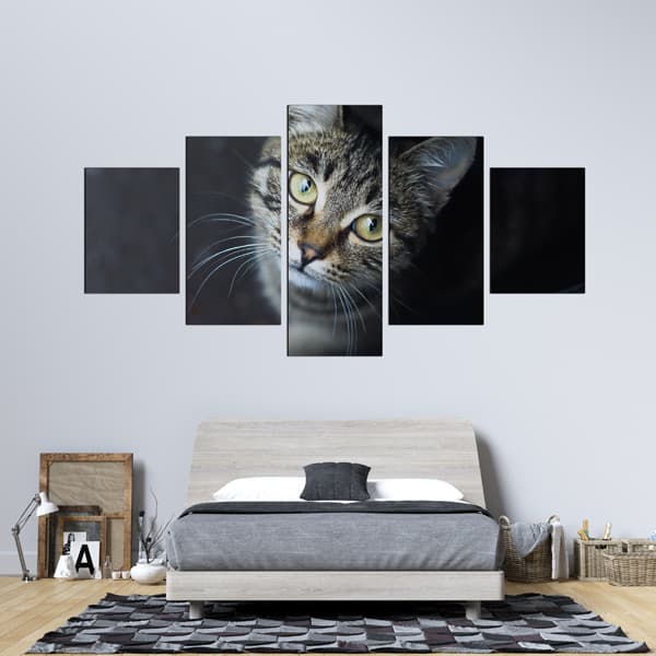 Cat Canvas
