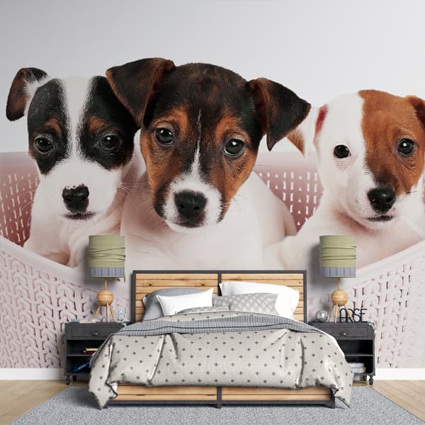 Puppy Wallpaper