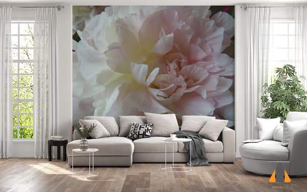 Romantic White Peony Flower Wallpaper