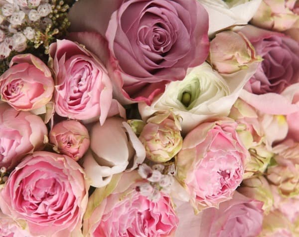 Close-up of a pink rose bouquet, a beautiful wallpaper or canvas print design.