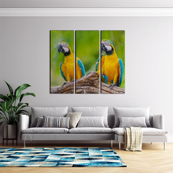 Birds Canvas
