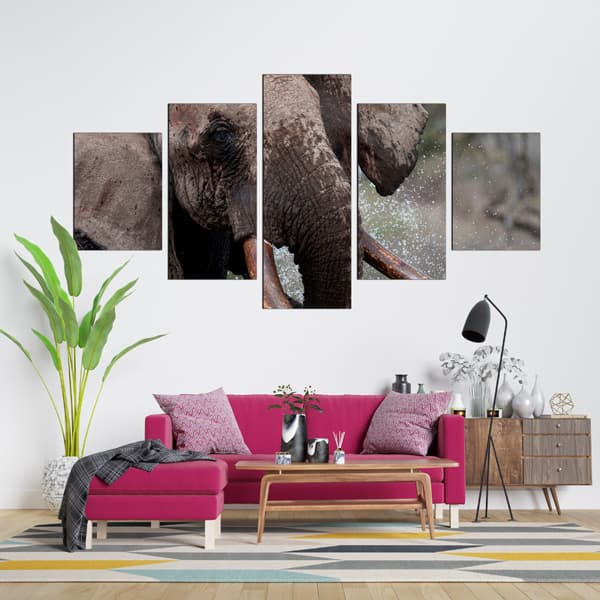 Elephant canvas