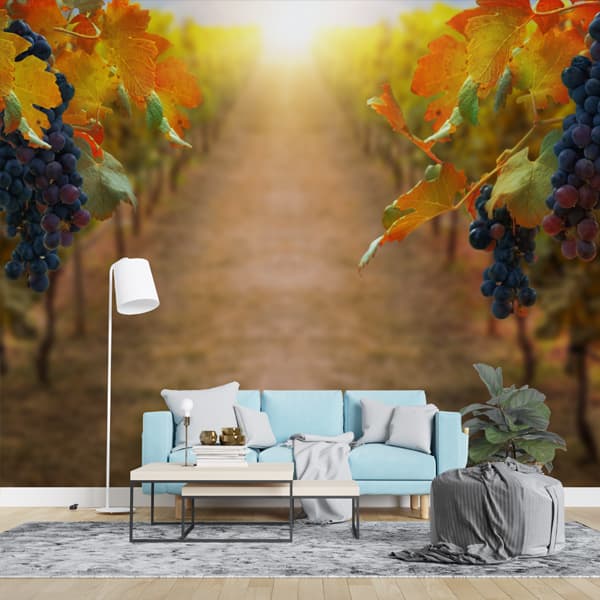 Grapes Field Wallpaper