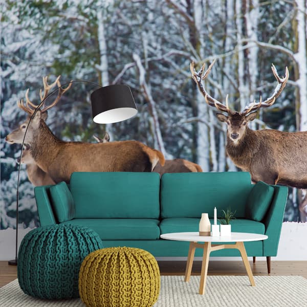 Snow With Deer Wallpaper