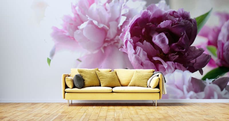 Peony Pink