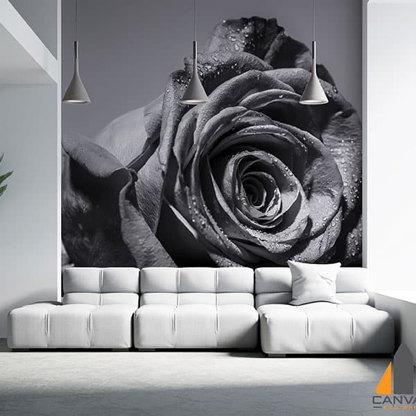 Black Rose Wallpaper