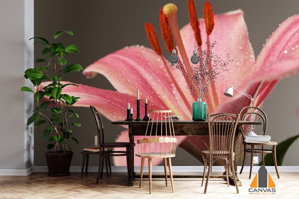 Lone Pink Lily Wallpaper
