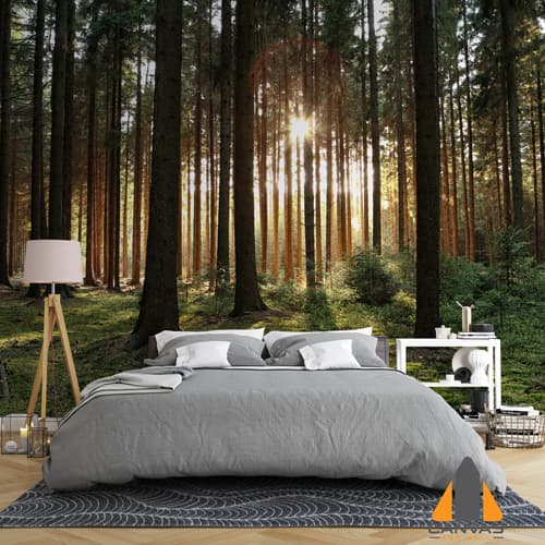 Wooded Forest Trees Backlit by Golden Sunlight Wallpaper