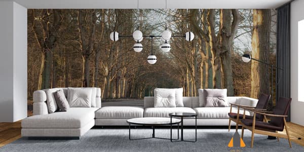 Sycamore Trees Wall Art