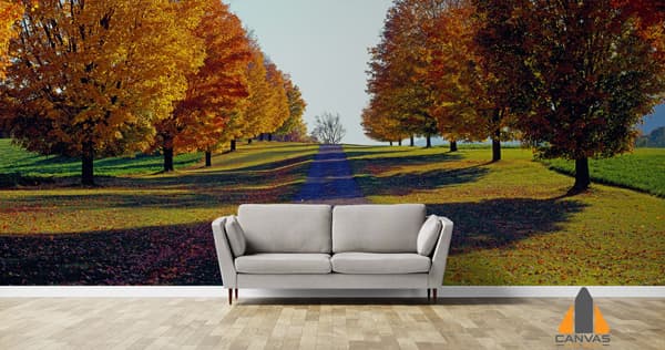 Autumn Trees Road Wallpaper