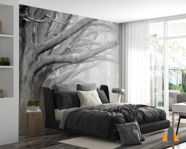 Forest Landscape