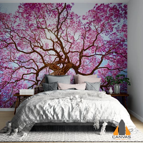 Jacaranda paradise