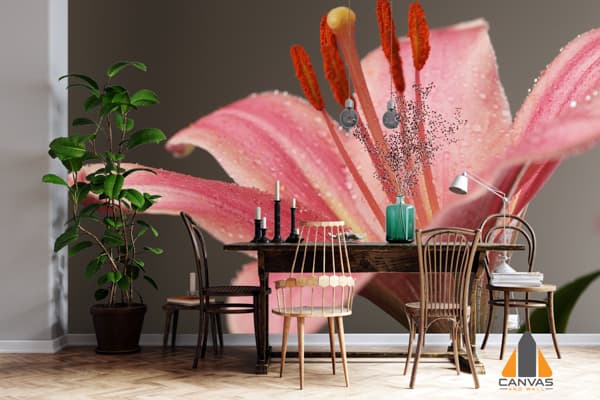 Lone Pink Lily