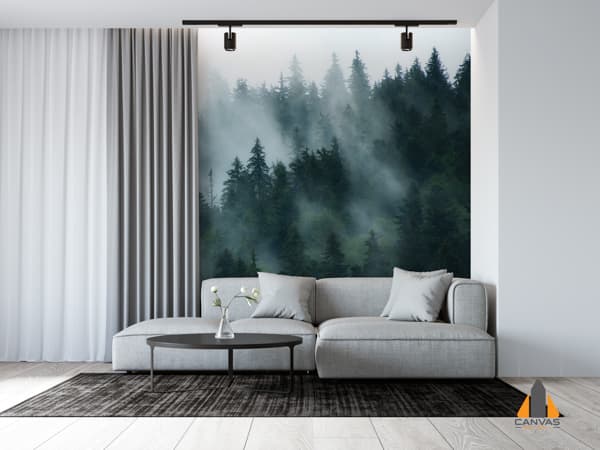 Misty Forest