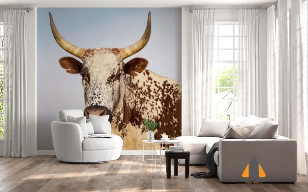 Nguni Cattle Stare