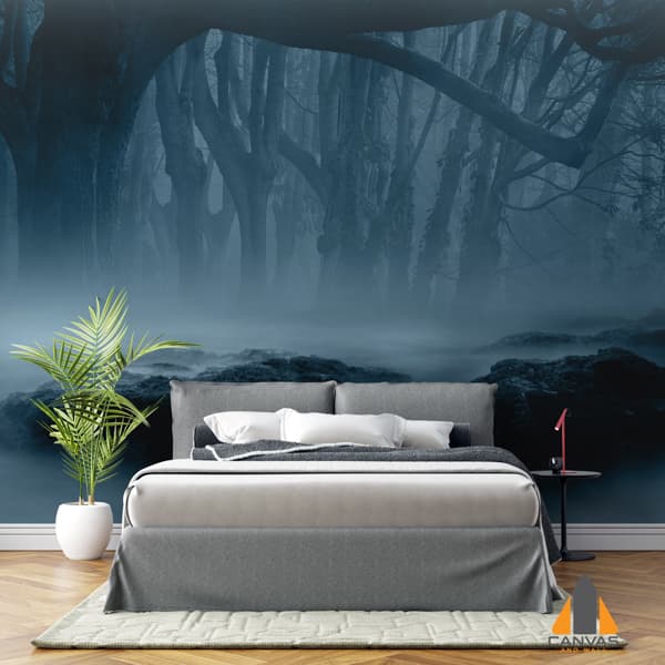 forest-6578551