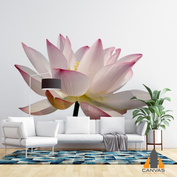 lotus flower