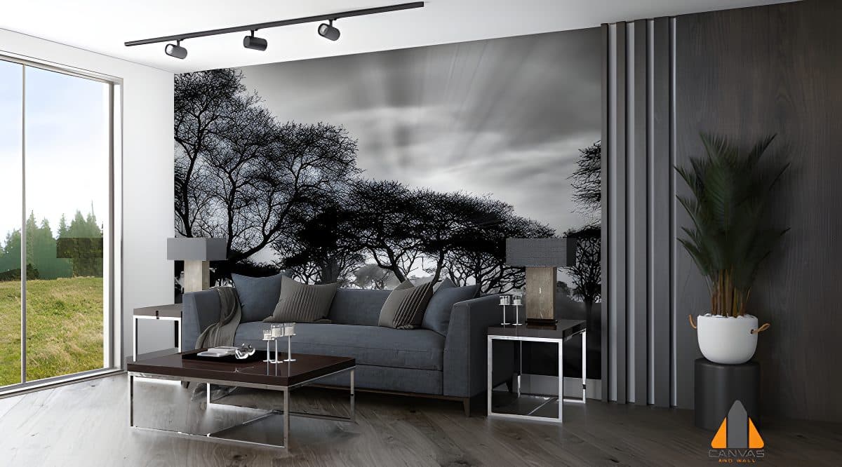 greyscale-shot-trees-savanna-plains-during-sunset