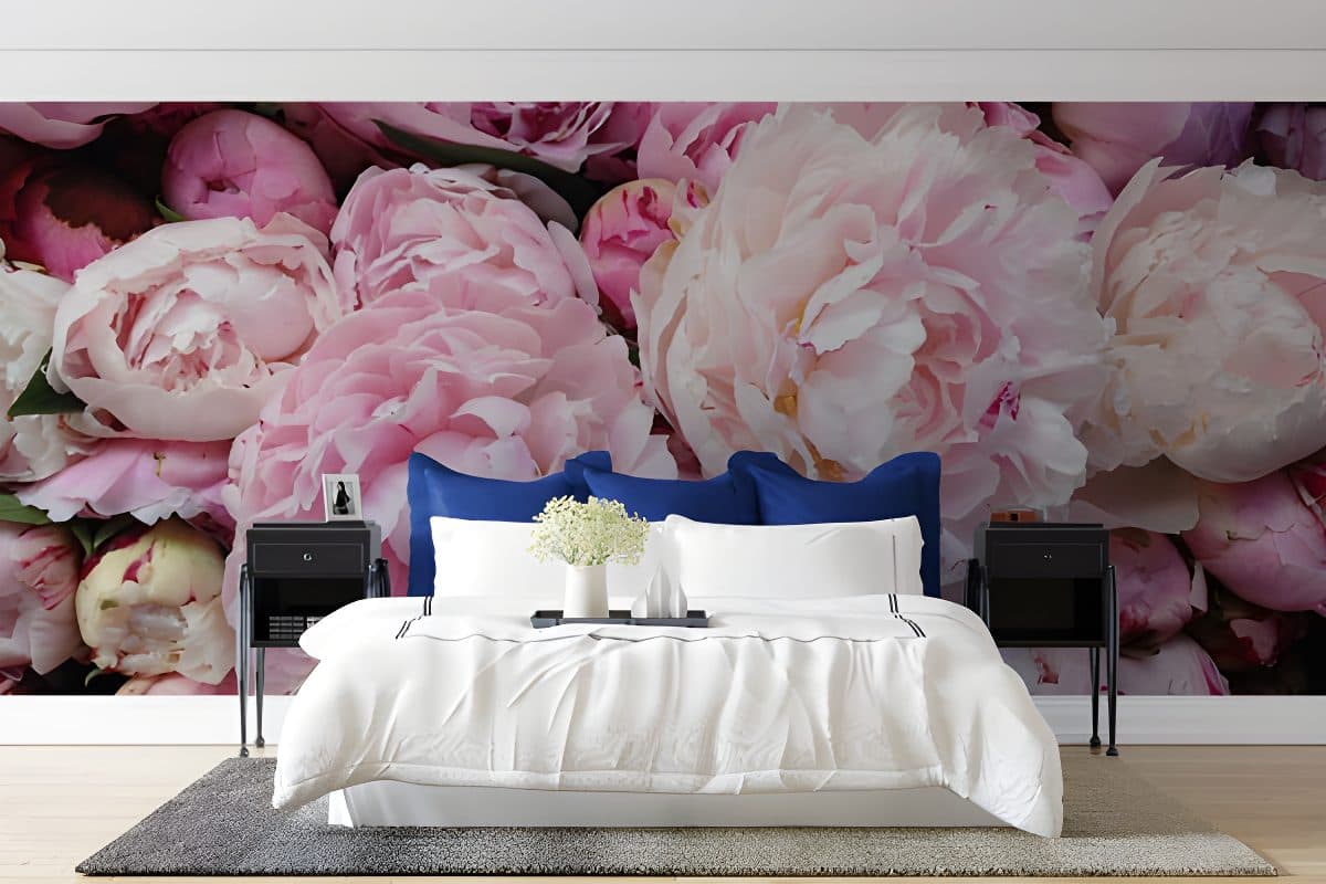 Pink Peony