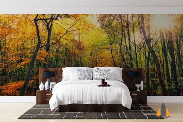 Autumn forest wall mural in a bedroom, with sunbeams through yellow and orange leaves. Wallpaper installations in Gauteng.