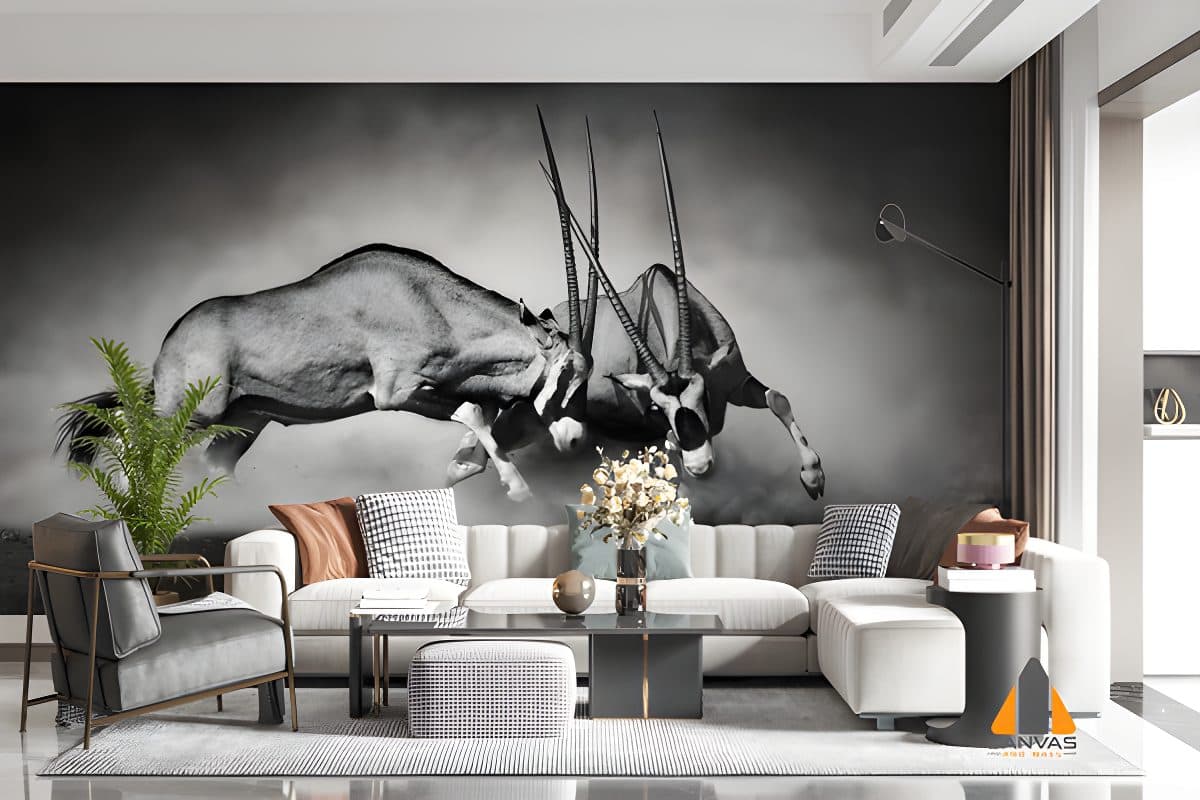 Gemsbok dual