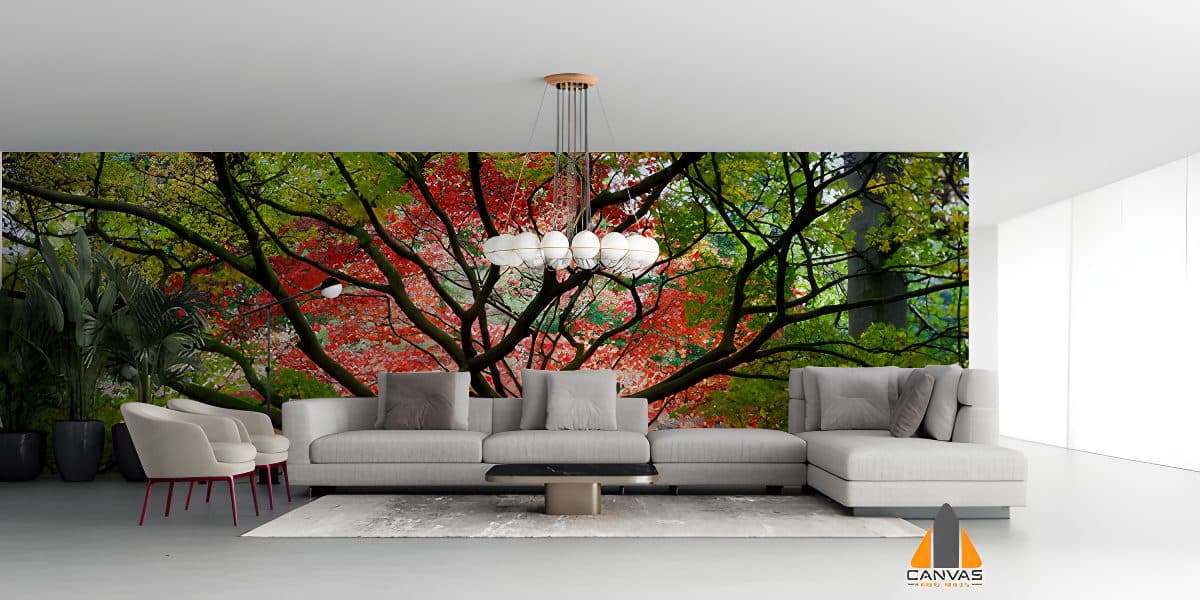 Japanese Maple
