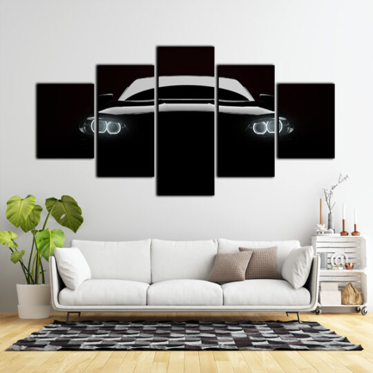 Bmw Split Canvas
