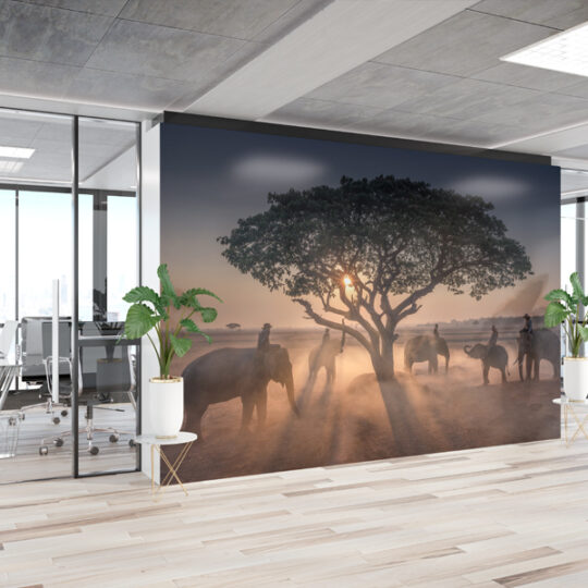 Sunset Office Wallpaper