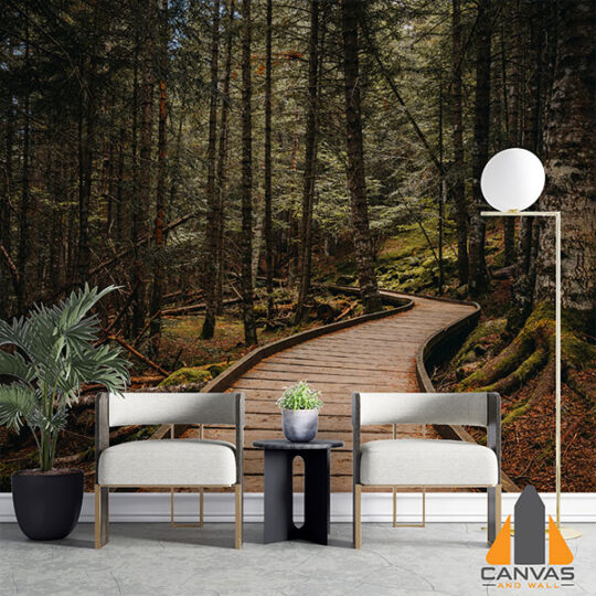 Forest Path Nature Wallpaper