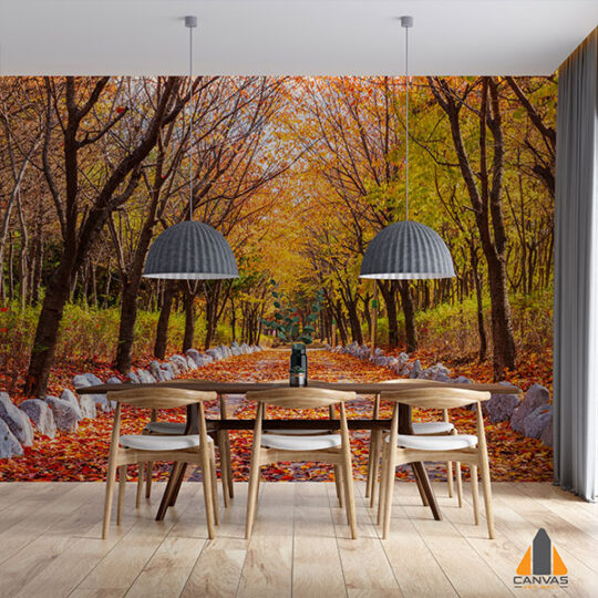 Kitchen Forest Autumn