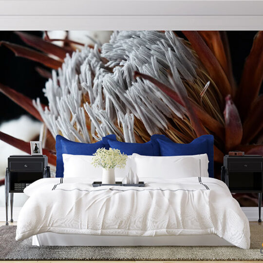 Protea Flower Wallpaper