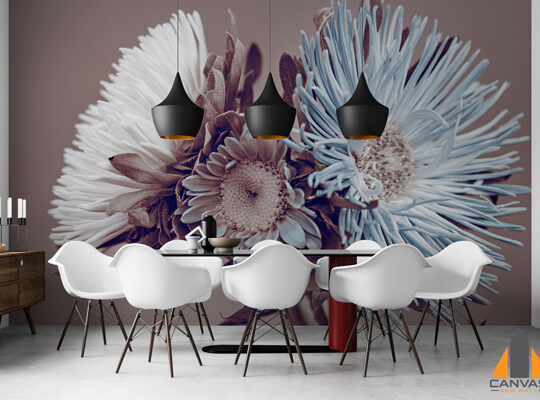 Aster Flowers Wallpaper