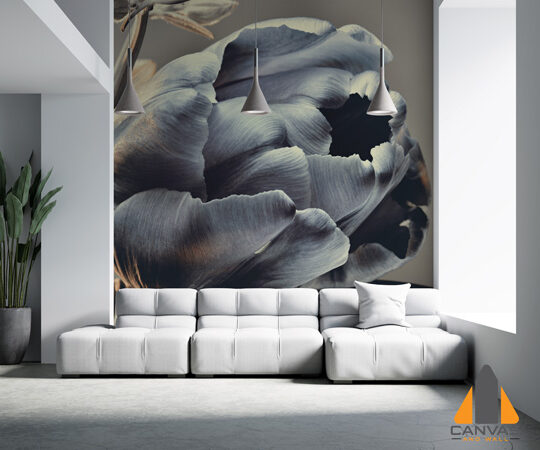 Large bud of Tulip Wallpaper