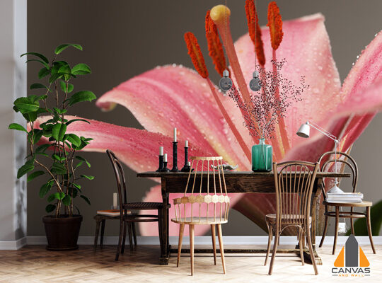 Lone Pink Lily Wallpaper