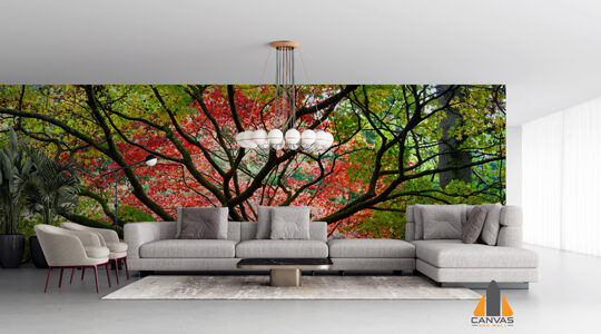 Leafy Flower Blooming Tree Wallpaper