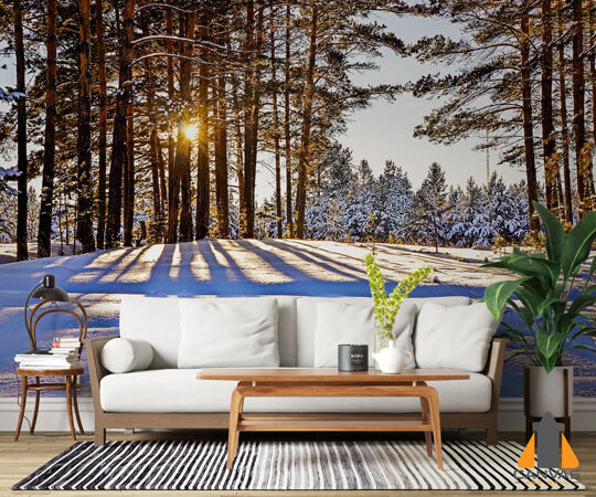 Sunset Snow Wallpaper