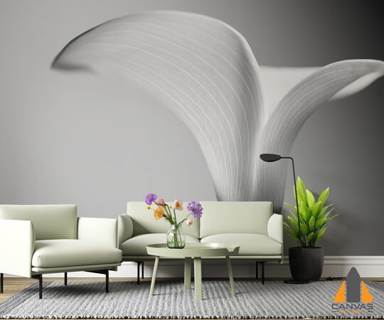 White Calla Lily Flower Wallpaper