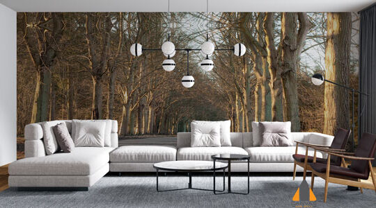 Sycamore Trees Wall Art