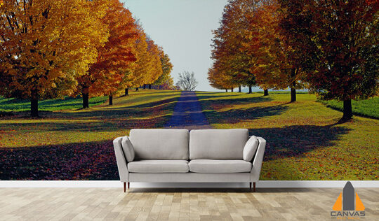 Autumn Trees Road Wallpaper