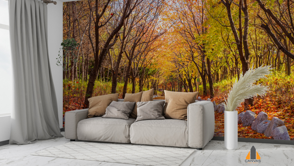 Autumn in Park in South Korea