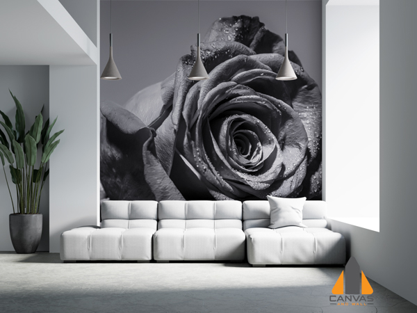 Black Rose in Lounge