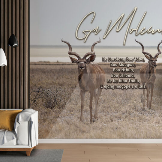 Clan Names - Ga Moleme