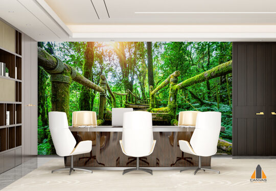 Nature Trail at National Park in Thailand