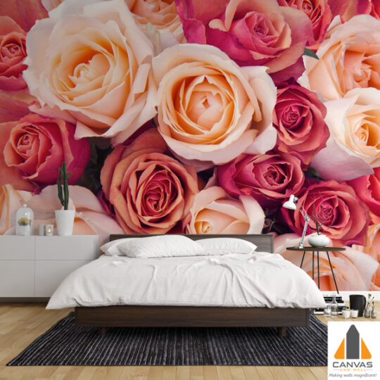 Pink and Peach Roses