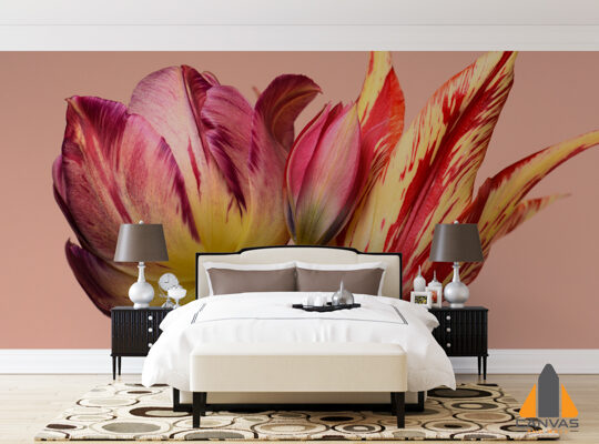 Red and Yellow Peony