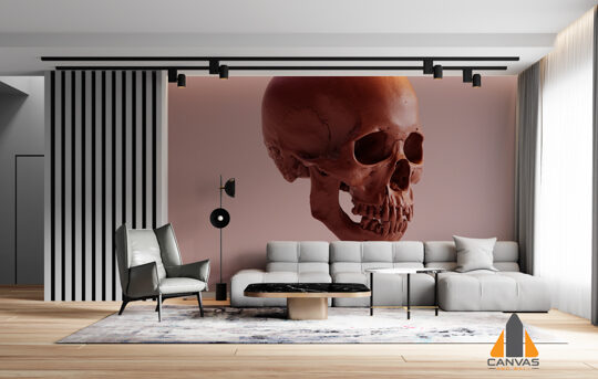Skull in Lounge