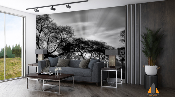 greyscale-shot-trees-savanna-plains-during-sunset